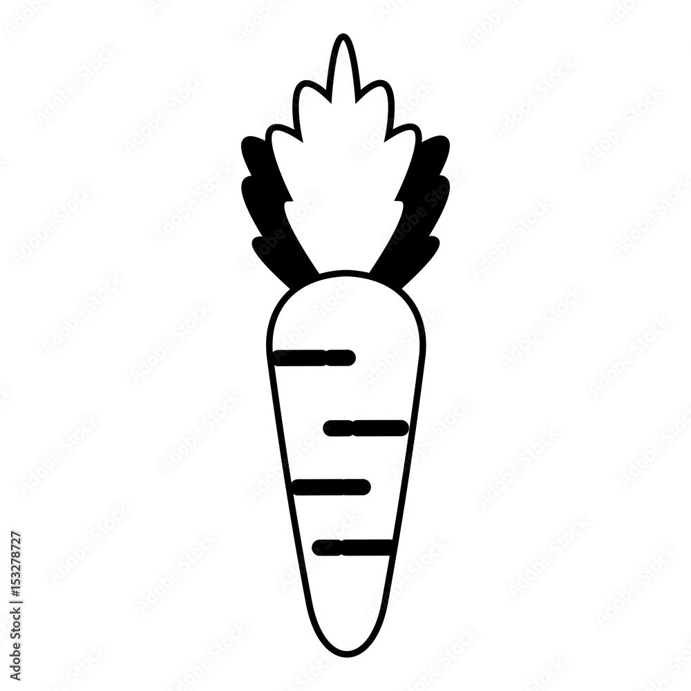 healthy fresh vegetable vector illustration graphic design healthy fresh vegetable vector illustration graphic design