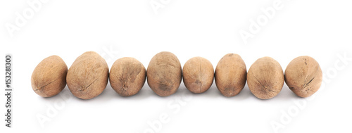 Line of pecan nuts isolated