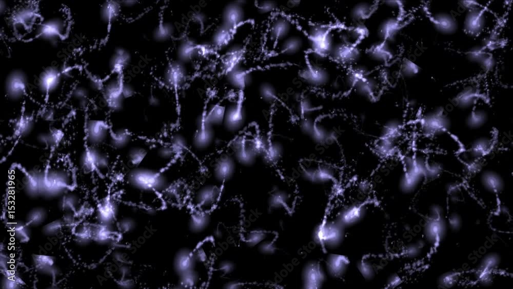 4k Abstract fly particles light tail fireworks,bio microbes bacteria ...