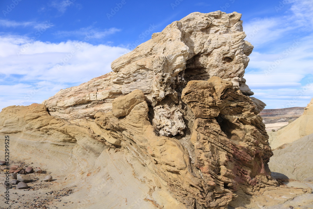 Fototapeta premium patagonia