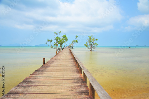 Wooden Piers on Tropical Islands  © karinkamon