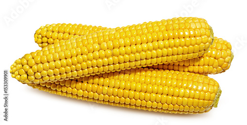 corn isolated on a white