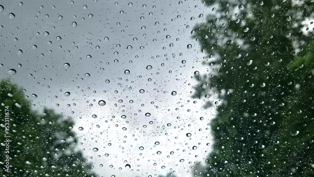 Driving rain on windshied looking at tree and sky go by.