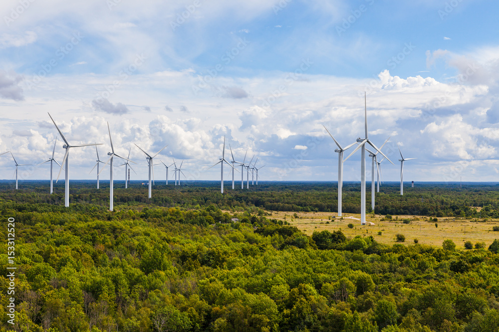 Wind turbines rising above the forest