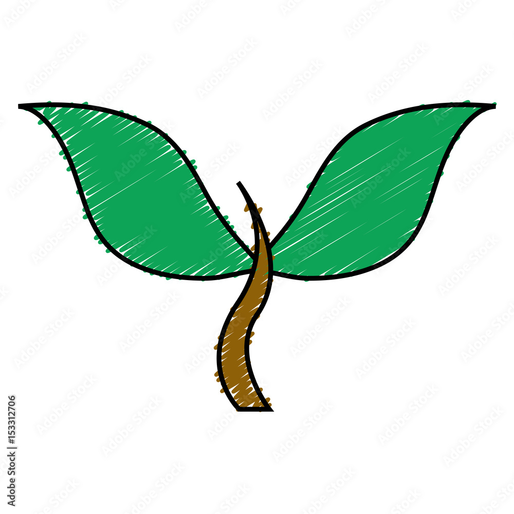 leaves icon over white background. vector illustration leaves icon over white background. vector illustration