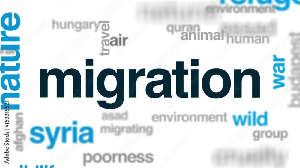 Migration animated word cloud, text design animation. Migration animated word cloud, text design animation.