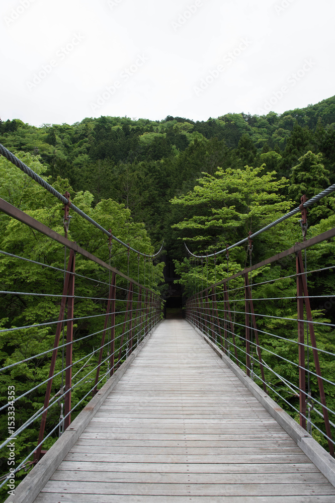 新緑の森の吊り橋　縦写真
