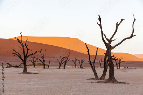 Namib Desert. Deadvley.