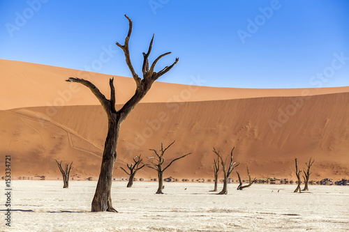 Namib Desert. Deadvley.