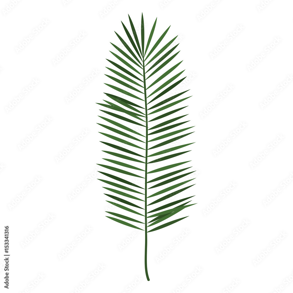 tropical leafs decorative icon vector illustration design tropical leafs decorative icon vector illustration design