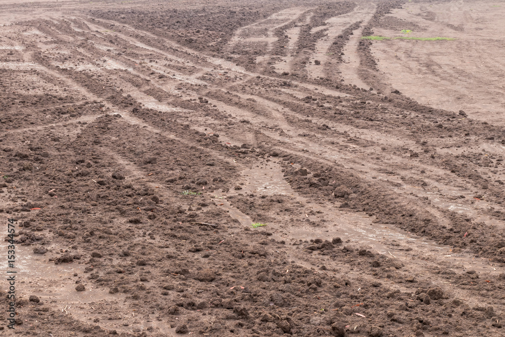 Trails on wet soil. Trails on wet soil.