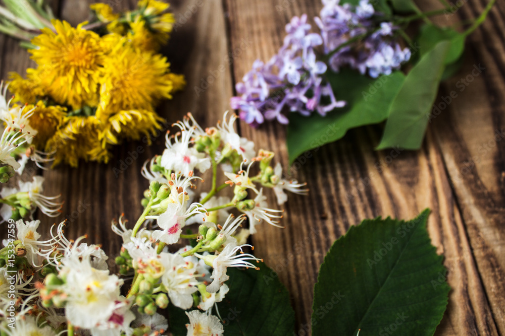 chestnut, lilac and dandelion chestnut, lilac and dandelion