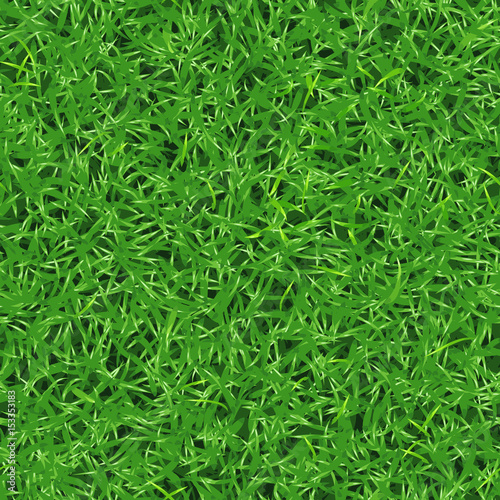 Бесшовная векторная текстура свежей зеленой травы на лужайке или газоне  Stock Vector | Adobe Stock