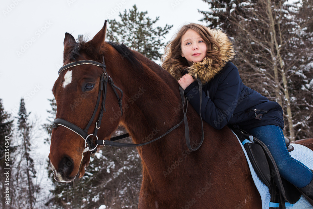 Girl teenager and big horse in a winter Girl teenager and big horse in a winter