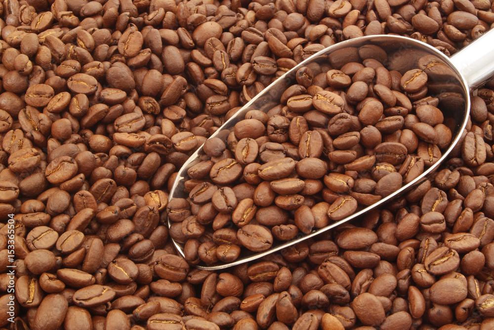 Fototapeta premium Roasted arabica coffee beans and metallic shovel