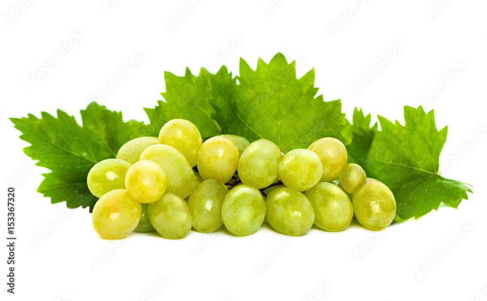 Green Grape and Grapevine with Green Leaves Isolated on White Background Green Grape and Grapevine with Green Leaves Isolated on White Background