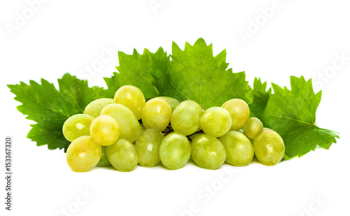 Green Grape and Grapevine with Green Leaves Isolated on White Background