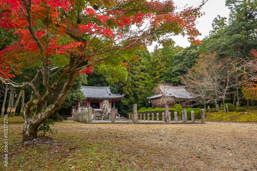 Beautiful autumnal alley in the park of Kyoto, Japan