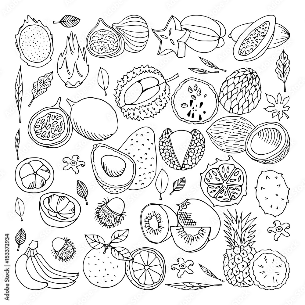 Tropical fruits. Vector illustration, doodle set Tropical fruits. Vector illustration, doodle set