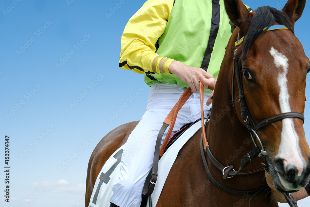 Centre d'Entrainement PAU SERS | Hippodrome de PAU