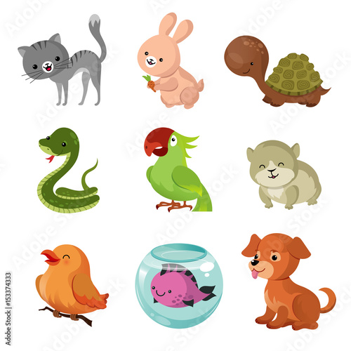 Pets domestic animals vector flat icons