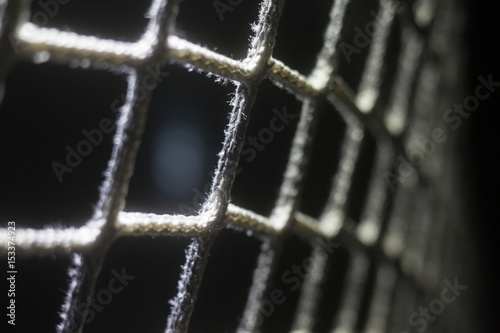 Quadro su tela Hockey net