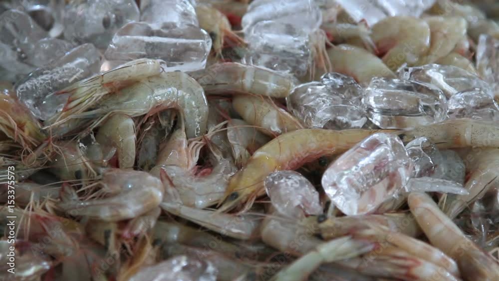 Fresh raw prawns on ice are sold in the local market close up
Fresh raw prawns on ice are sold in the local market close up
