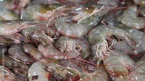 Fresh raw royal tiger shrimps with ice are sold in the local market close-up
