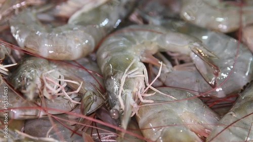 Fresh royal tiger shrimps are sale in the local market close up
