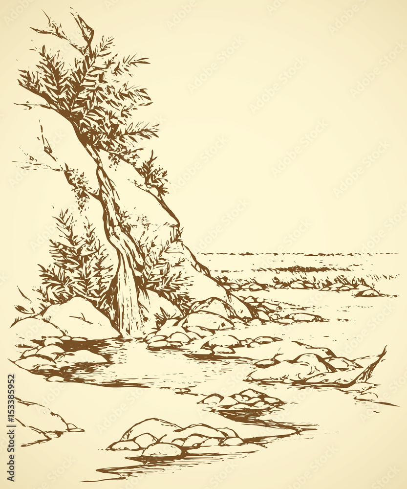 Fototapeta premium Vector landscape. Tree near a mountain stream