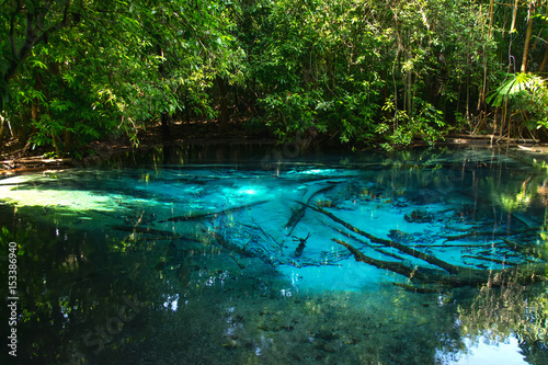 Fototapeta Naklejka Na Ścianę i Meble -  Amazing nature, Blue pond in the forest.