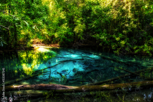 Amazing nature, Blue pond in the forest.