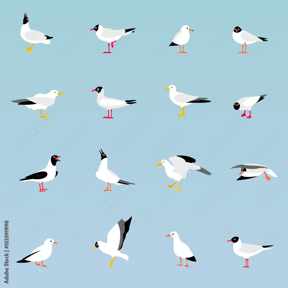 Fototapeta premium Vector set of beautiful seagulls.