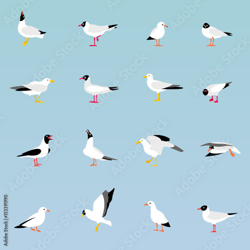 Vector set of beautiful seagulls.