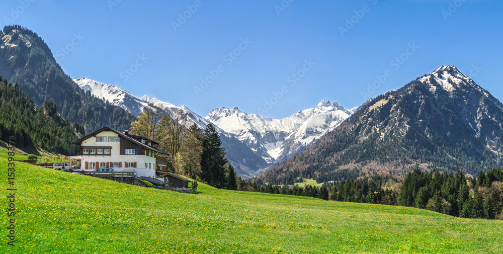 House on flower meadow and snow covered mountains in background