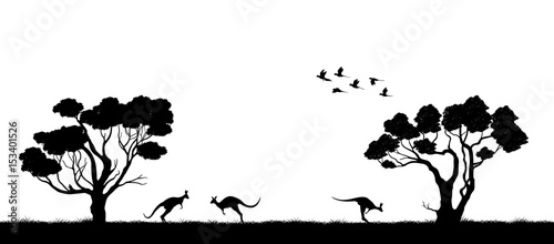 Australian landscape. Black silhouette of trees and kangaroo on white background. The nature of Australia