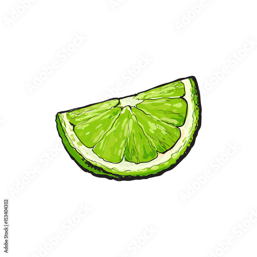 Quarter, segment, piece of ripe green lime, hand drawn sketch style vector illustration on white background. Hand drawing of unpeeled grapefruit qurter, piece
