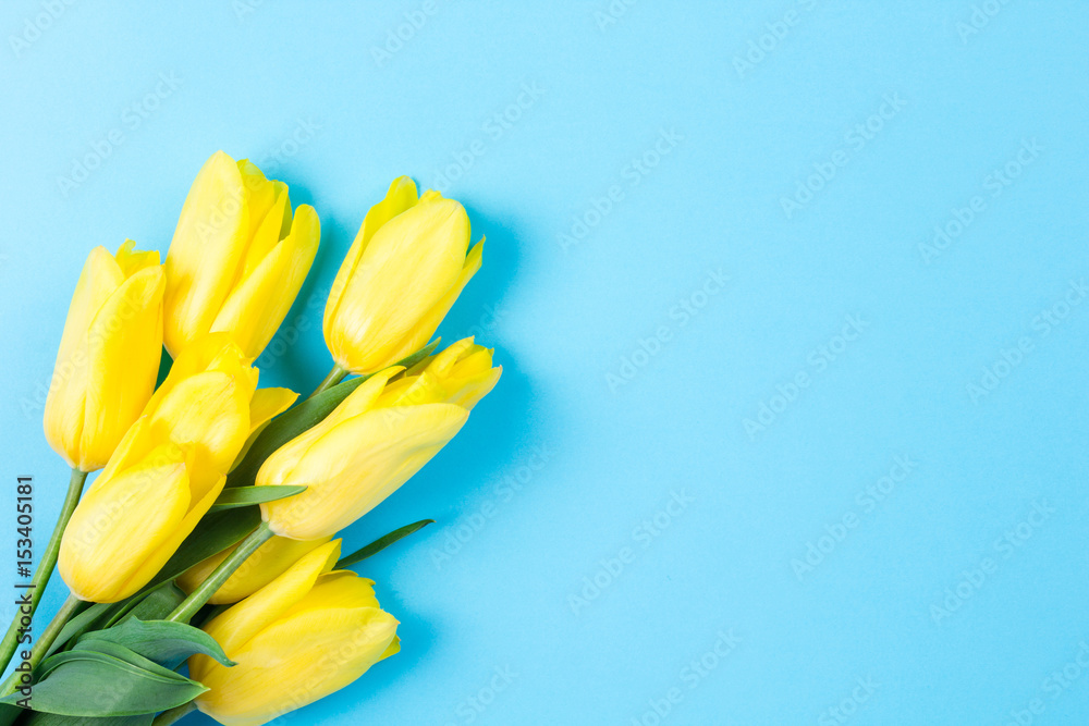 Bouquet of beautiful fresh yellow tulips on blue background Bouquet of beautiful fresh yellow tulips on blue background
