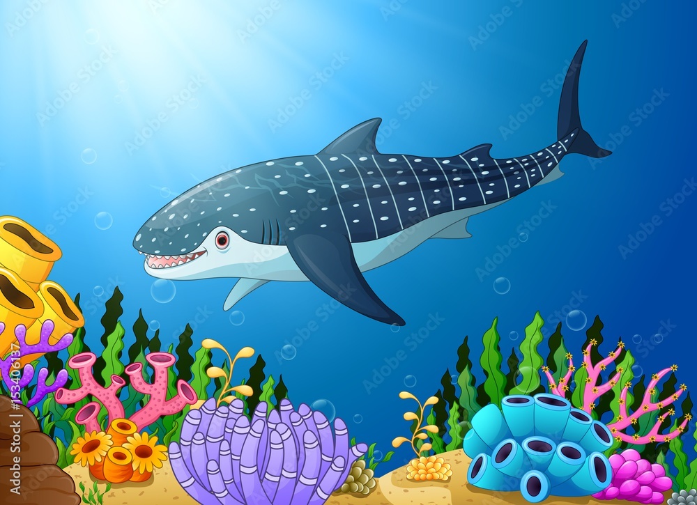 Fototapeta premium Cartoon whale shark in the sea 