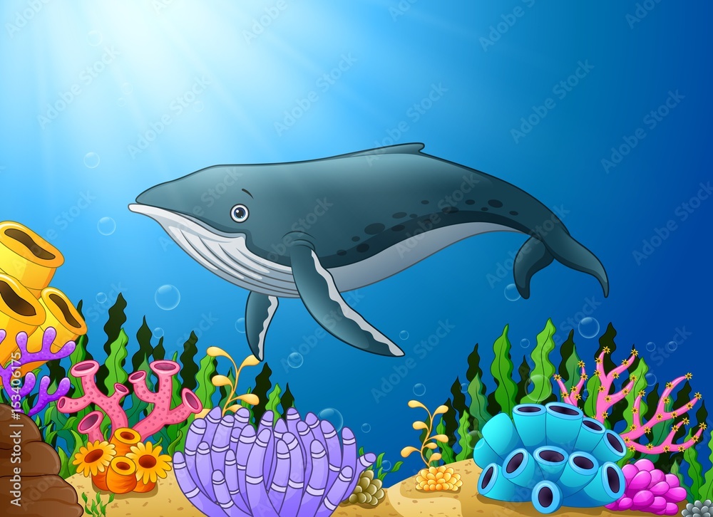 Obraz premium Cartoon whale swimming in the sea