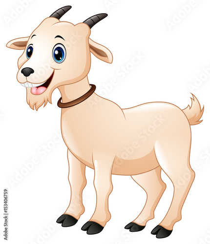 Cute goat cartoon