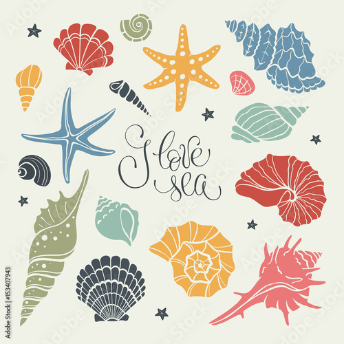 Hand drawn sea shells and stars collection. Marine illustration of ocean shellfish. Colorful seashells isolated on light background.