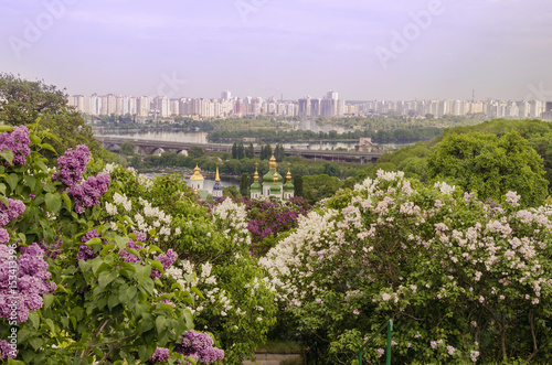 Beautiful view of the city surrounded by lilacs