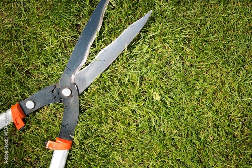 Gardener Scissors on the Grass
