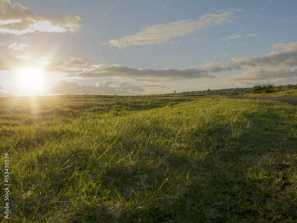 Sun set over a green field with green grass.
