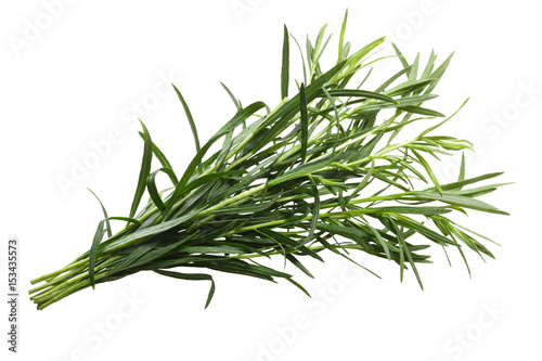 Bundle of tarragon Artemisia dracunculus, paths
