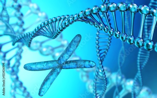 DNA, X-chromosome, 3d rendering