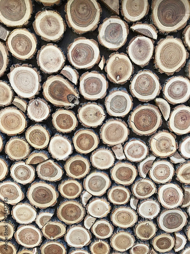 A background of round slices of trees.