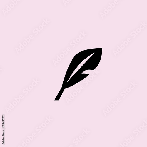 Feather icon. flat design. photo