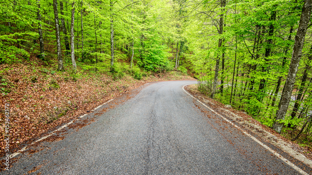 mountain road - outdoor activity and spring season mountain road - outdoor activity and spring season